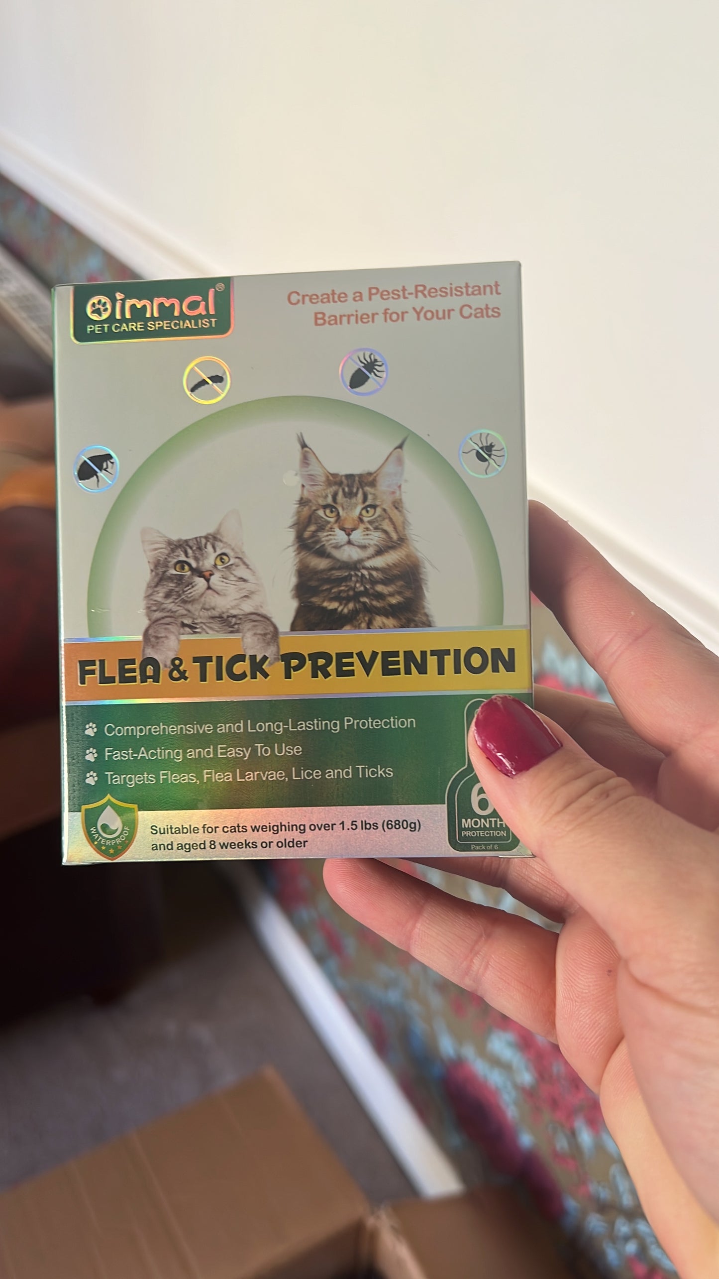 six cat flea treatment six month protection