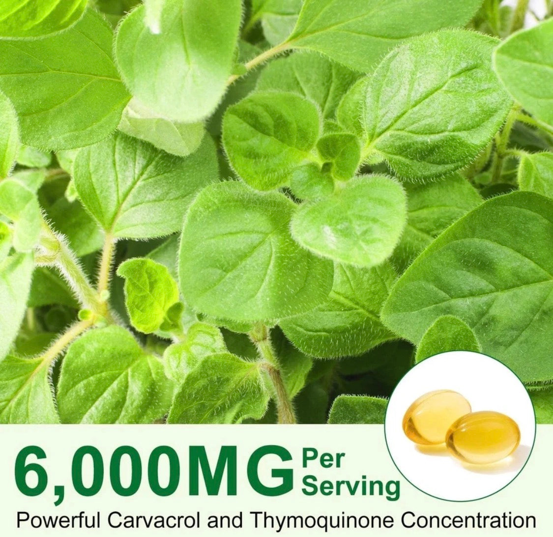 Wild Oregano Oil 6,000mg with Black Seed Oil – 120 Softgels